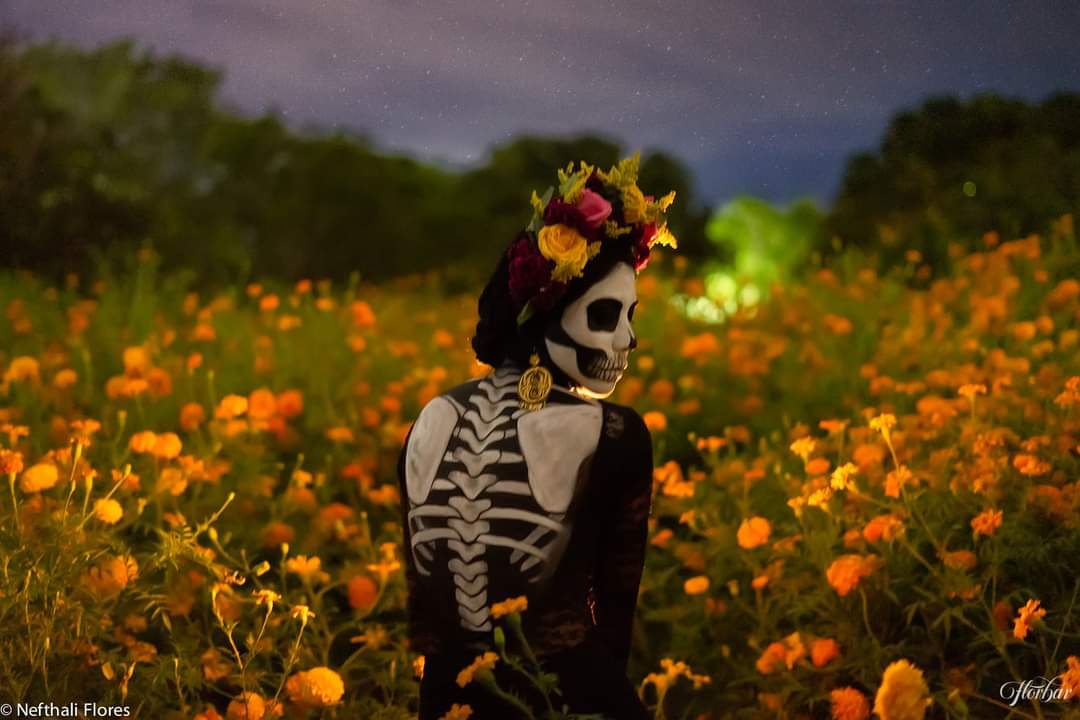Flor de cempasúchil, ícono de Día de Muertos – Mexlike